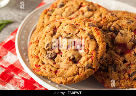 Homemade Chocolate Peppermint Cookies with Candy Canes Stock Photo