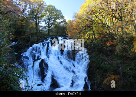 Swallow Falls in Betws y Coed North Wales during an autumn morning Stock Photo