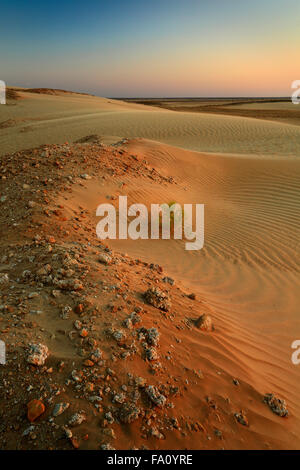 Sand dunes in Rub al-Khali desert at sunset near Shisr, Dhofar, Oman Stock Photo