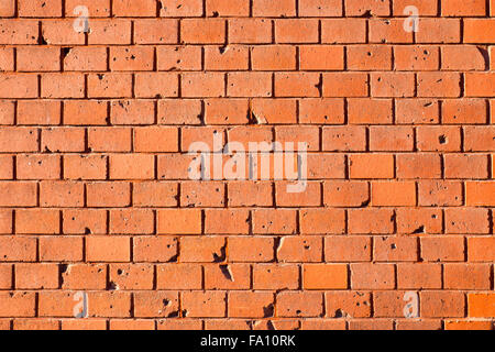 Nice worn brickwall in orange, can be used as a background Stock Photo