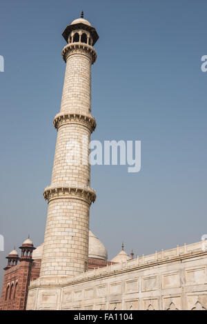 Pillar in Taj Mahal Stock Photo