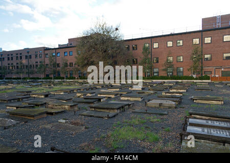 Beth Chaim Novo (Nuevo) Sephardic Jewish Cemetery, Mile End Road, London, UK. Stock Photo