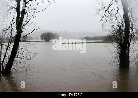 South Wales, UK, Saturday 19th December 2015. Heavy rain continues to fall around Carmarthenshire following Met Office Yellow warning for Saturday. Areas of low lying agricultural land are flooded after the river Towy bursts its banks near Carmarthen, south Wales, UK. Viewed from B4300. NOTE - Image is one of two. Depicting current flooded state. Second image taken previously before flooding on15th December 2015. Credit:  Algis Motuza/Alamy Live News Stock Photo