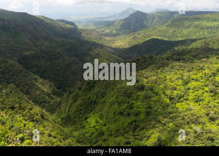 A view of Black River Gorges National Park, Mauritius Stock Photo