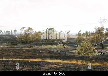 EPPING, AUSTRALIA - 20 DECEMBER 2015: A day after fires swept through Epping in Melbourne, CFA Fire Crews patrol the area for spot fires as Melbourne Suffered it's hottest day in December hitting 45 degrees C. Stock Photo
