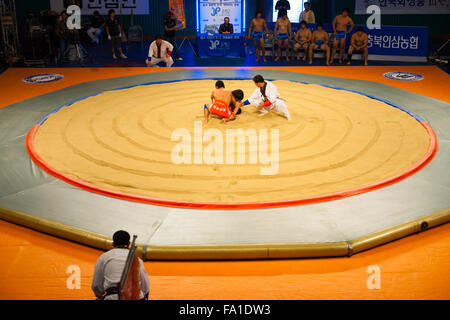 Two ssireum wrestlers, a traditional Korean national sport similar to sumo, begin their bout in the middle of the freshly raked Stock Photo