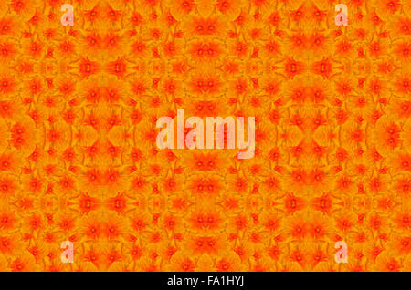 Orange silk cotton tree flower background Stock Photo