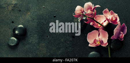 Spa stones and pink orchid on the dark vintage background Stock Photo