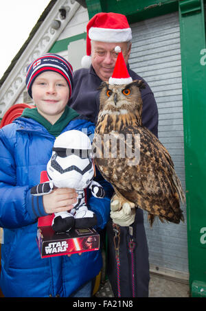 Bowness on Windermere, Lake Windermere, Cumbria, UK. 20th December, 2015.  Santa Owl At Bownees Bay Front from The Owl Sancturay Cumbria    Credit:  Gordon Shoosmith/Alamy Live News Stock Photo