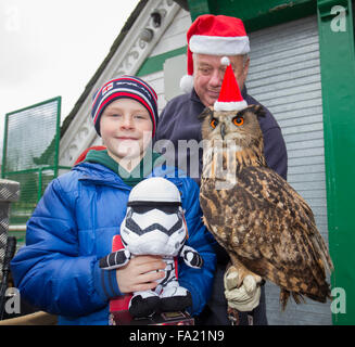 Bowness on Windermere, Lake Windermere, Cumbria, UK. 20th December, 2015.  Santa Owl At Bownees Bay Front from The Owl Sancturay Cumbria    Credit:  Gordon Shoosmith/Alamy Live News Stock Photo