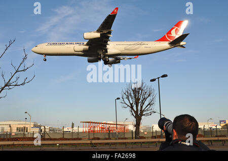Turkish Airlines Airbus A340 -311 - jet airliner plane TC-JDM landing at London Heathrow with a 'spotter' taking a photograph. Myrtle Avenue park Stock Photo