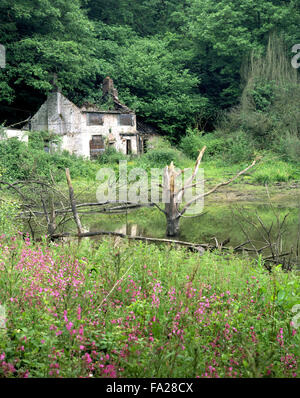 An abandoned cottage at Broseley, Ironbridge, Shropshire, England, UK Stock Photo