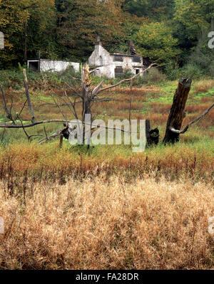 An abandoned cottage at Broseley, Ironbridge, Shropshire, England, UK Stock Photo