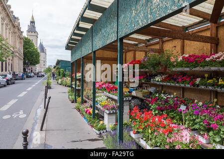 Flower stall along Seine river in Paris, France Stock Photo