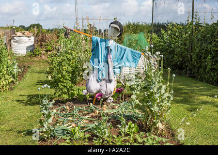 A Scarecrow Guarding Vegetables on an Allotment Plot Stock Photo