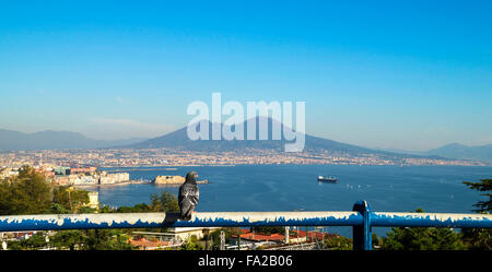 Panorama of Naples City and Vesuvius Volcano seen from Belvedere Antonio Iannello. Stock Photo