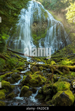 Proxy Falls in the Three Sisters Wilderness area of Central Oregon, Willamette National Forest, USA Stock Photo