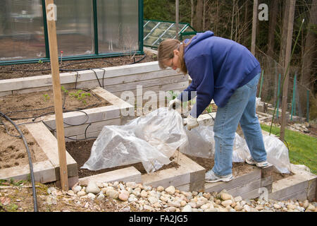 Woman covering with plastic over garden hoops, a freshly planted, terraced kitchen garden in her back yard Stock Photo