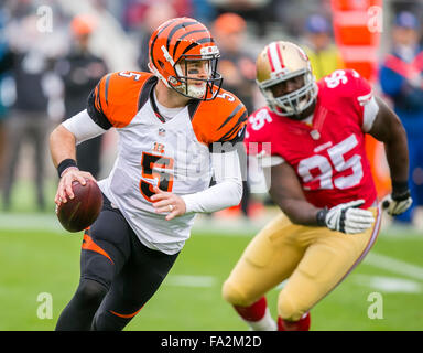 December 20, 2015: Cincinnati Bengals quarterback AJ McCarron (5) in action during the NFL football game between the Cincinnati Bengals and the San Francisco 49ers at Levi's Stadium in Santa Clara, CA. The 49ers lost to the Bengals 24-14. Damon Tarver/Cal Sport Media Stock Photo