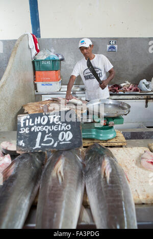 Filhote (kumakuma or piraíba, scientific name: Brachyplatystoma filamentosum) - a giant Amazon river catfish for sale in Manaus fish market, Brazil Stock Photo