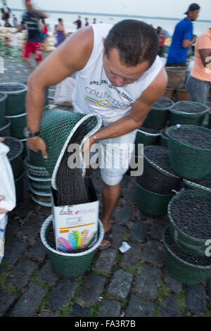 The morning açai berry tropical fruit market in Belem, Para, Brazilian Amazon Stock Photo