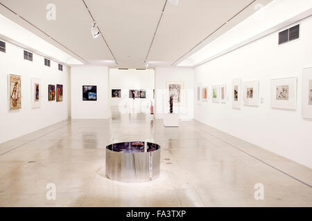 Interior gallery in the Sao Paulo Museum of Contemporary Art (MAC), Sao Paulo, Brazil, South America Stock Photo