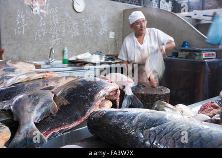 Amazon river fish for sale in Manaus fish market Stock Photo