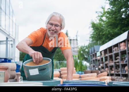 Male gardener arranging ceramic pots in greenhouse, Augsburg, Bavaria, Germany Stock Photo