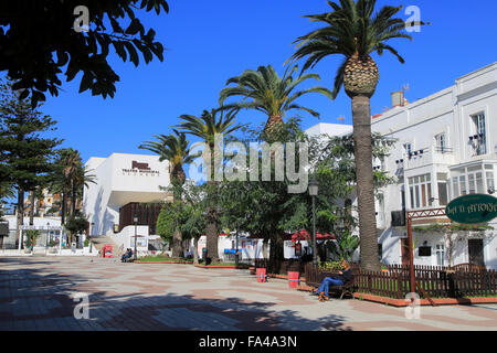 Paseo Alameda pedestrianised avenue street Tarifa, Cadiz province, Spain palm trees blue sky sunshine Stock Photo