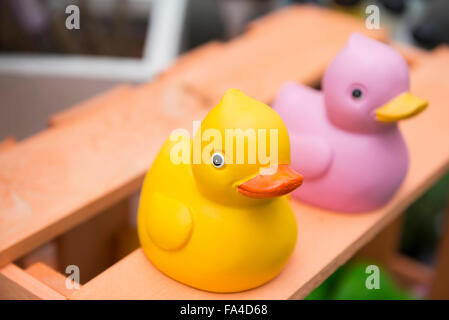 Close-up of rubber ducks in garden centre, Augsburg, Bavaria, Germany Stock Photo