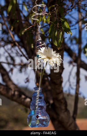 A bottle with flowers hanging in a tree as decorations for an outdoor celebration, such as a wedding party. Stock Photo