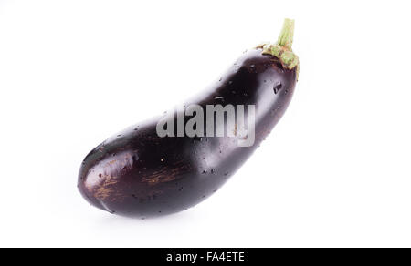 One fresh eggplant isolated on white background Stock Photo