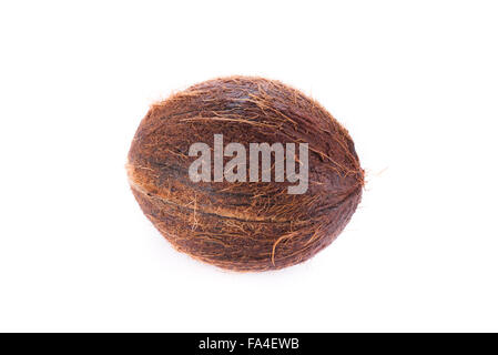 coconut isolated on white background Stock Photo