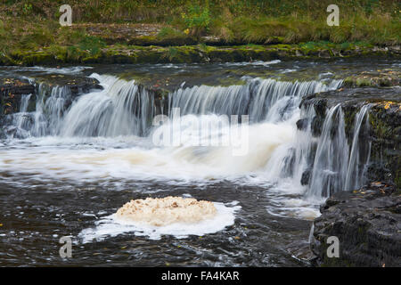 Waterfalls on the River Ure near to Aysgarth - Yorkshire Dales, England, IUK Stock Photo