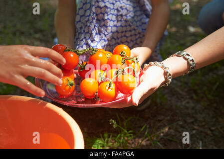 Close-up of friends washing cherry tomatoes at picnic, Munich, Bavaria, Germany Stock Photo