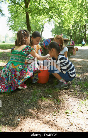 Group of friends washing fruits in bucket of water at picnic, Munich, Bavaria, Germany Stock Photo