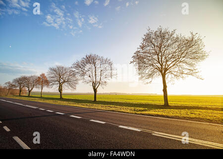 Empty countryside road with leafless trees at sunset. Stock Photo