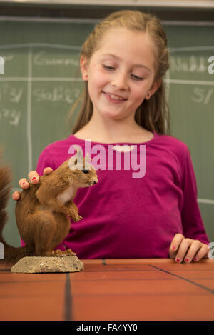 schoolgirl examining a squirrel in biology class, Fürstenfeldbruck, Bavaria, Germany Stock Photo