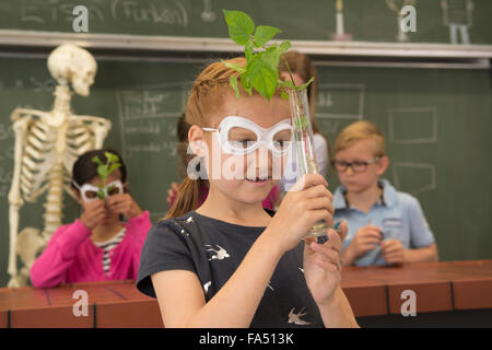 school children with teacher doing experiment in biology class, Fürstenfeldbruck, Bavaria, Germany Stock Photo