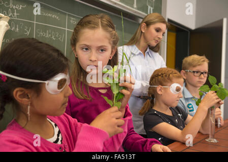 school children with teacher doing experiment in biology class, Fürstenfeldbruck, Bavaria, Germany Stock Photo