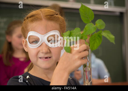 schoolgirl doing experiment in biology class, Fürstenfeldbruck, Bavaria, Germany Stock Photo