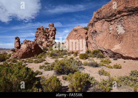 Eroded Rock, Valle de las Rocas, rocky valley, Uyuni, Altiplano, border triangle, Bolivia, Argentina, Chile Stock Photo