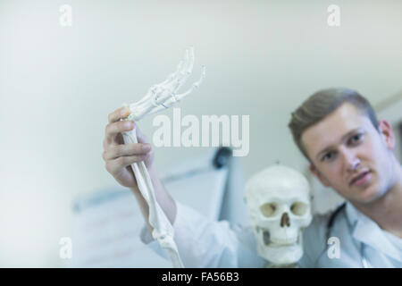 Portrait of a young doctor waving skeleton's hand in doctor's office, Freiburg Im Breisgau, Baden-Württemberg, Germany Stock Photo