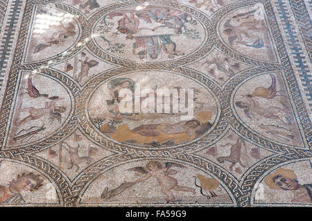 Roman Iberian city of Castulo, Mosaic of the loves - detail, Linares, Jaen province, Region of Andalusia, Spain, Europe Stock Photo