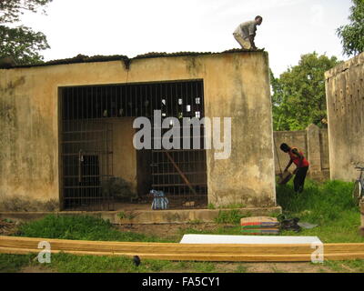 HANDOUT - An undated handout picture shows chimpanzee lady Lolita in ...