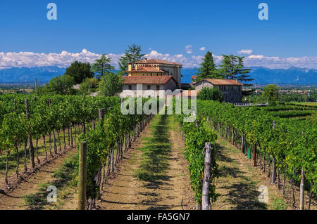 Friaul Weingut - Friaul vineyard estate 01 Stock Photo