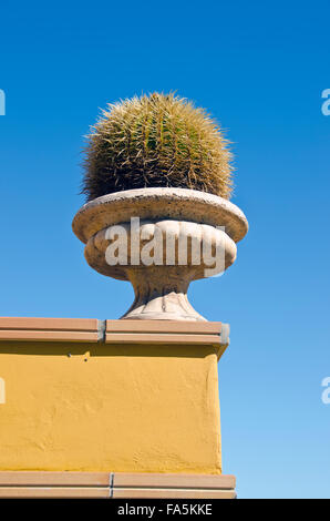 Big spiky decorative cactus in a antique vase placed as decoration outside on the wall Stock Photo