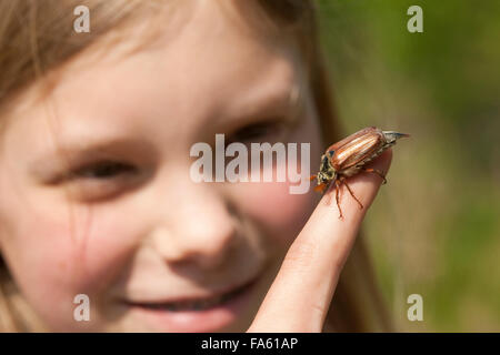 Maybeetle, common cockchafer, maybug, girl, child, Maikäfer, Feld-Maikäfer, Feldmaikäfer, Melolontha melolontha, Mädchen, Kind