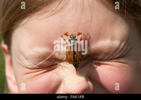 Maybeetle, common cockchafer, maybug, girl, child, Maikäfer, Feld-Maikäfer, Feldmaikäfer, Melolontha melolontha, Mädchen, Kind