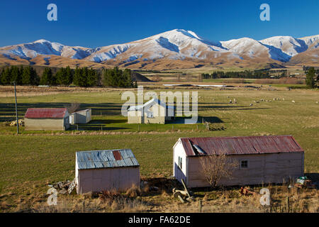 Old farm buildings and Kakanui Mountains, Maniototo, Central Otago, South Island, New Zealand Stock Photo